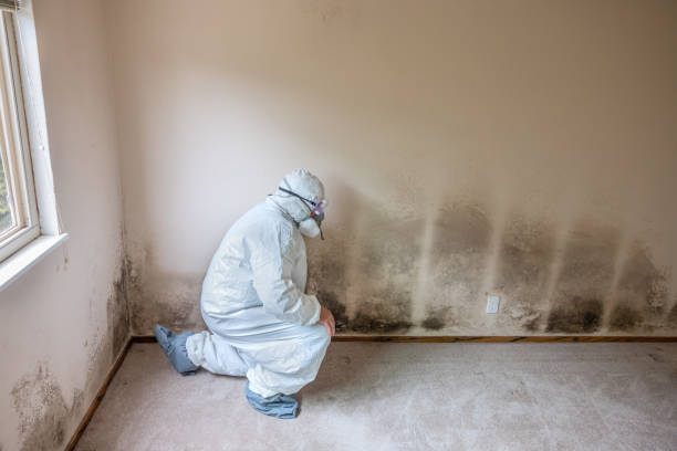 Best Biohazard Mold Removal  in Kenly, NC
