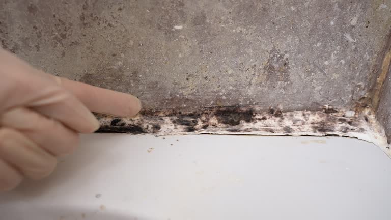 Dehumidification Services in Kenly, NC
